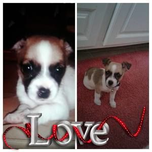 Meet your Posher, Johniah